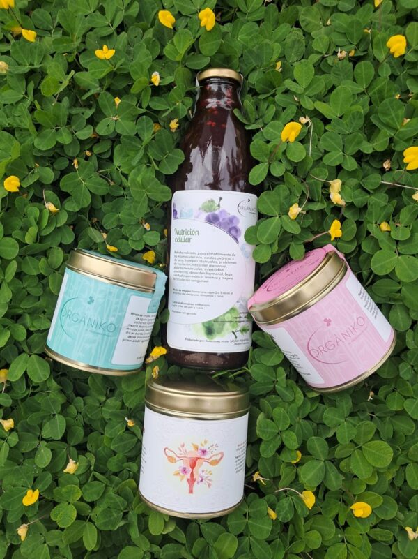 kit completo para la fertilidad femenina